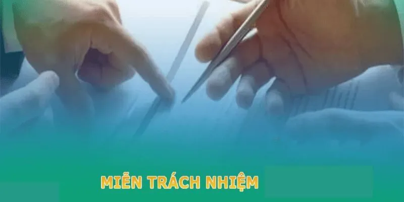 Các điều khoản sử dụng được chấp nhận