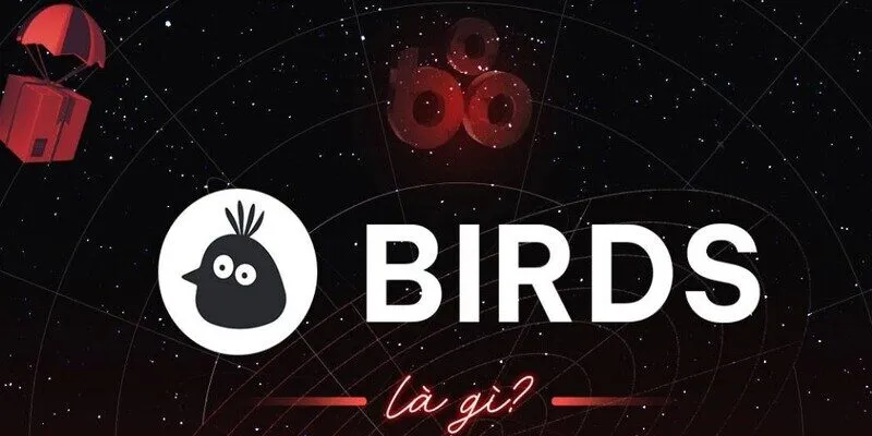Đôi nét về birds là gì